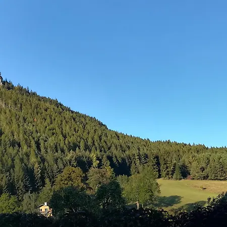 101 * Szentanna