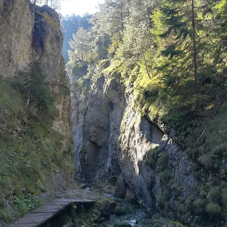 101