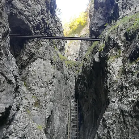 101 * Szentanna